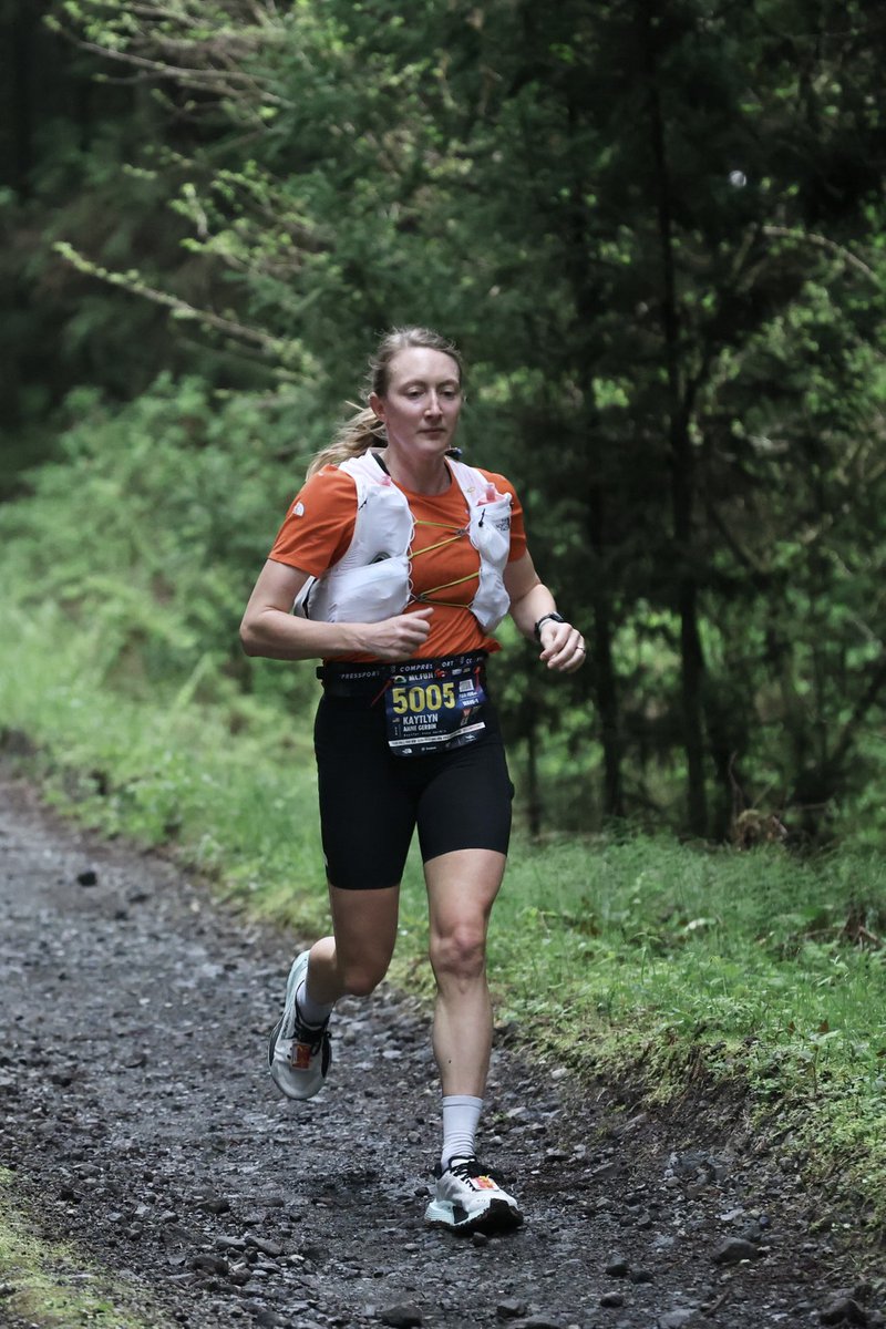 Mt.FUJI100 tweet media