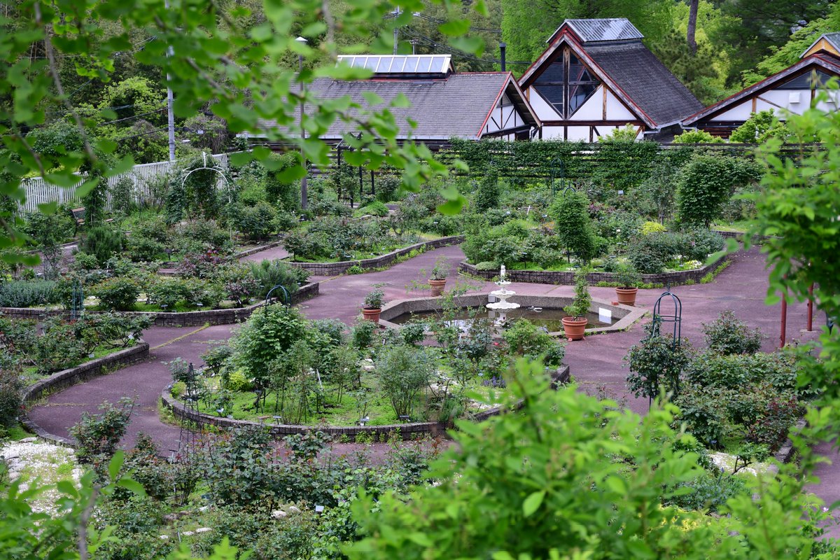 ysgr（ヨスガラ） tweet media