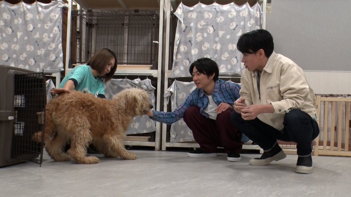 日テレ tweet media