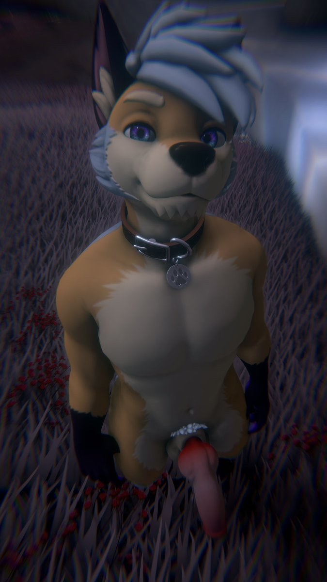 T 0 K 0 ⚡️NFC26 / EF30 tweet media