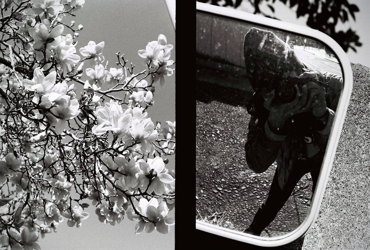 saigamineo6966's tweet image. 横浜ヴァガボン (1幕3場)
#bnw #monochrome
#streetphotography