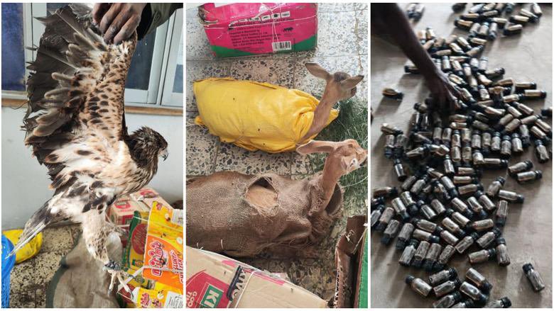 Nigerian NewsDirect tweet media