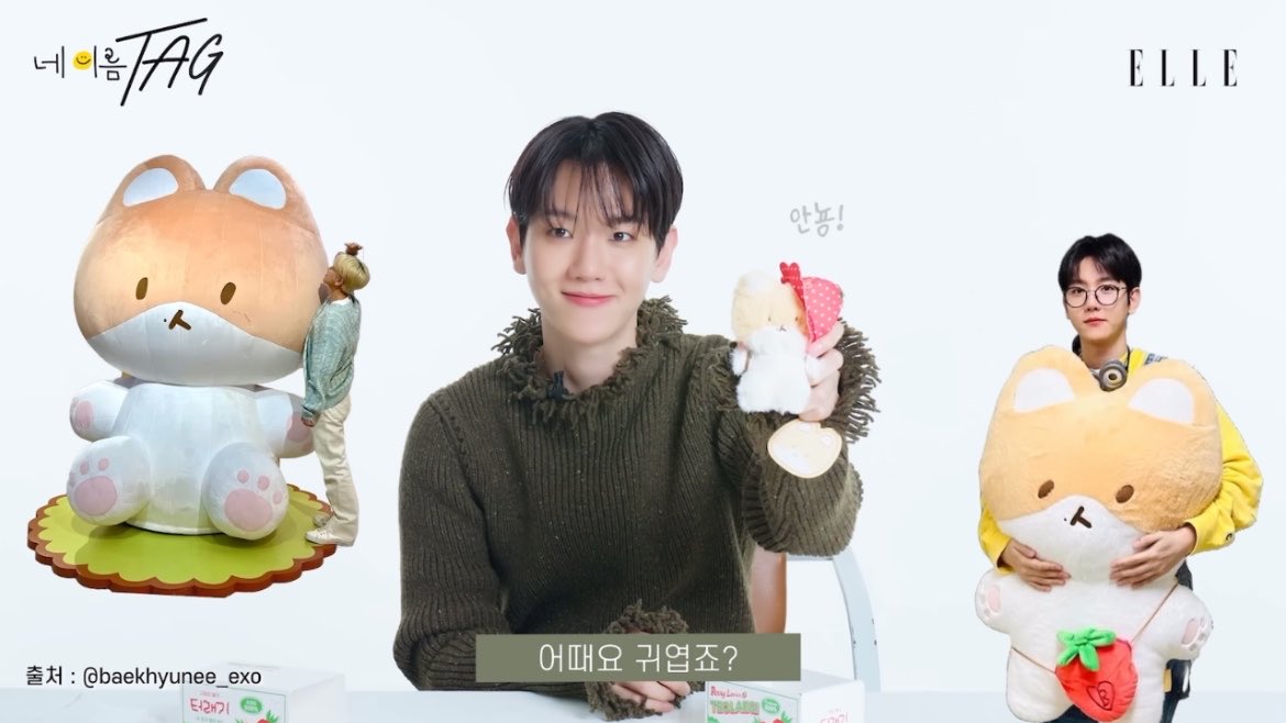 감자야!🥔 tweet media