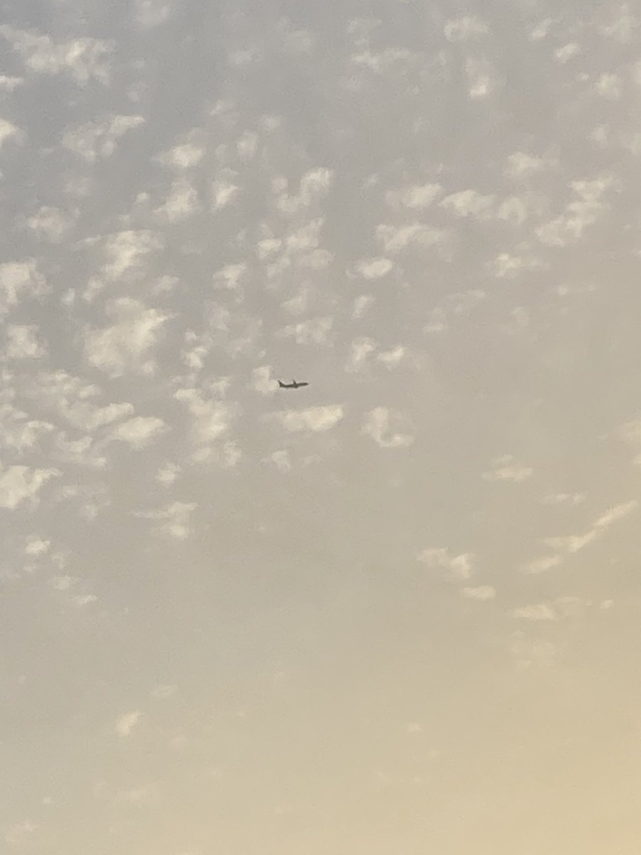 きつね tweet media