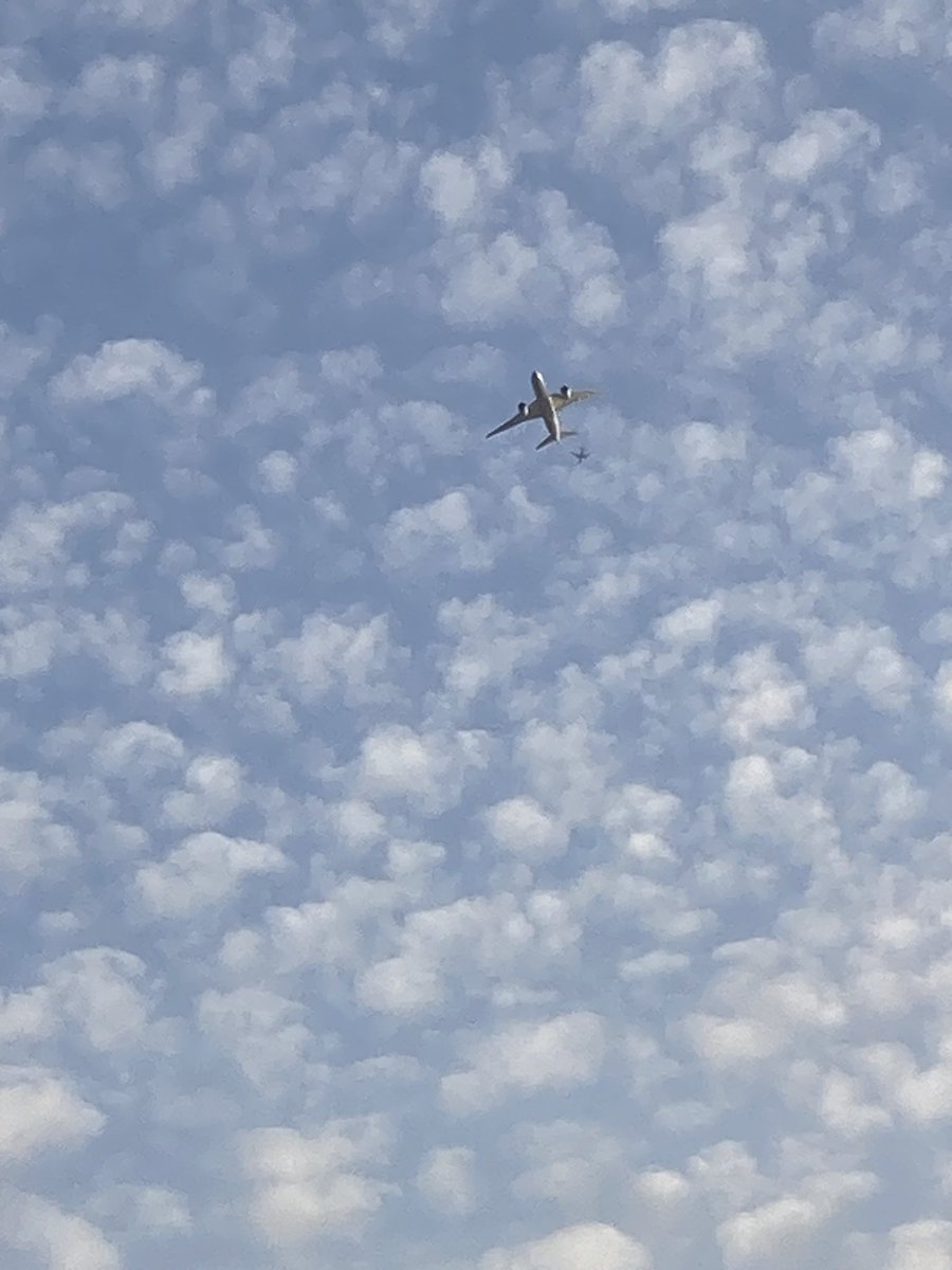 きつね tweet media