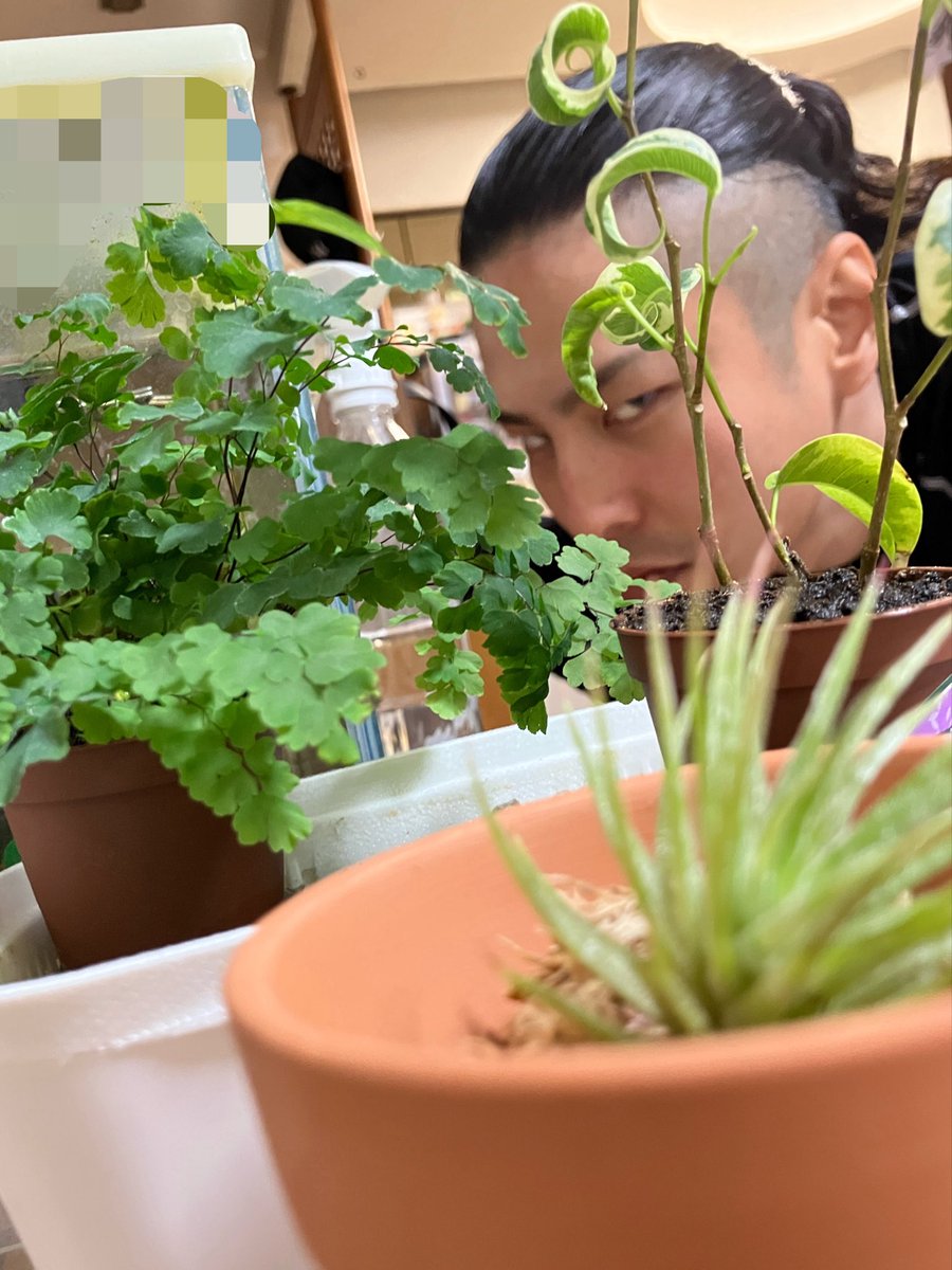 ゆめみるももさん tweet media