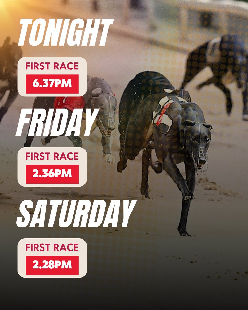 Newcastle Greyhound Stadium tweet media