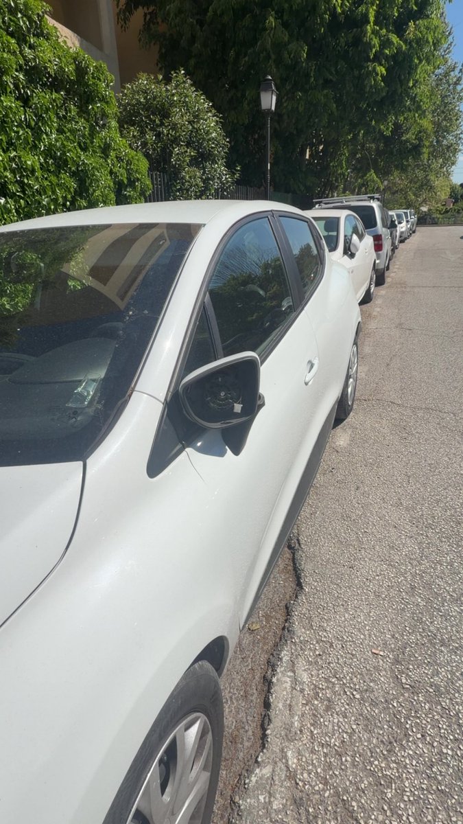 Eliès 🇩🇿 tweet media