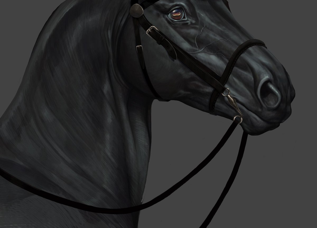 тиш 🇷🇺 tweet media