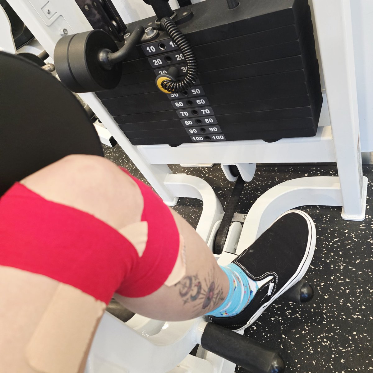 레디/5플엑(토) tweet media