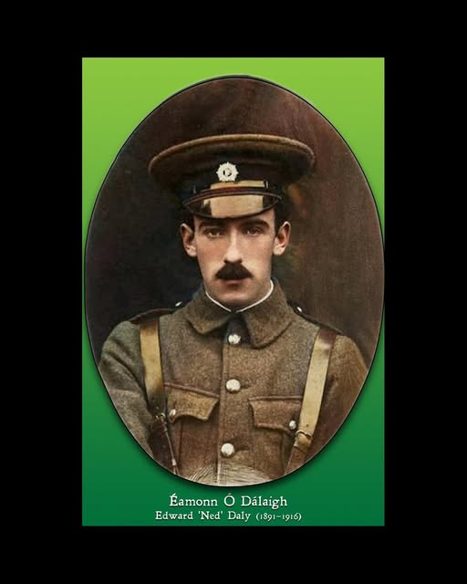 Limerick Museum tweet media