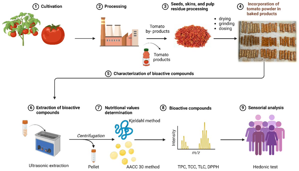 Plants_MDPI's tweet image. 🍅 Tomato processing waste → gluten-free crackers with 14× more lycopene.

A 10% enrichment level hits the sweet spot between nutrition and consumer acceptability.

🔗 Read more: brnw.ch/21x1TrL

#FunctionalFoods #GlutenFree #CircularEconomy