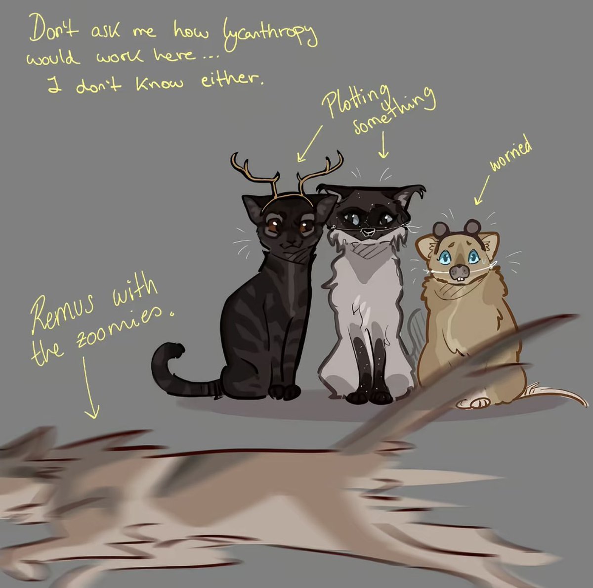 marauders as cats are so adorable and i rlly like the designs😭😭😭
(ac: klara_nya on tiktok)