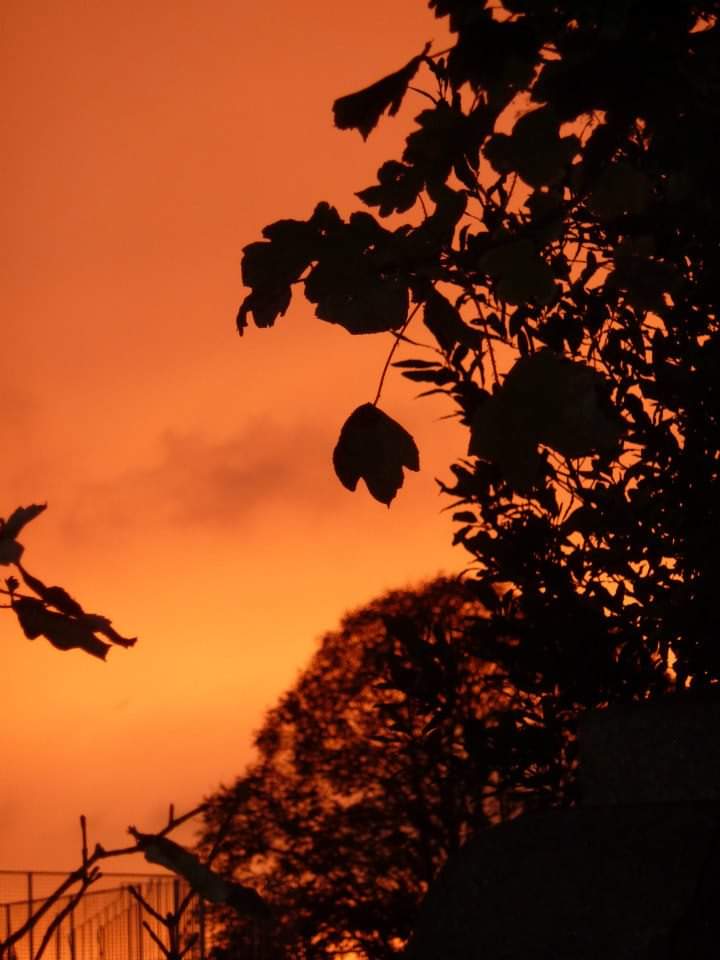 suedelacour's tweet image. Summer sunset #twilight