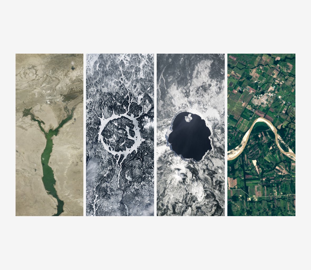 사발이 tweet media