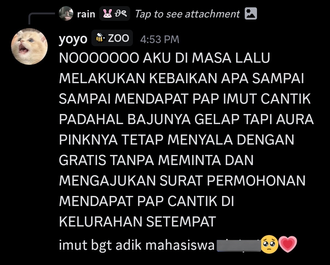 syaaa tweet media