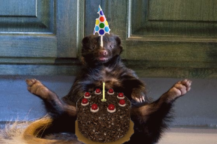 Charl 🦨 Birthday no more tweet media