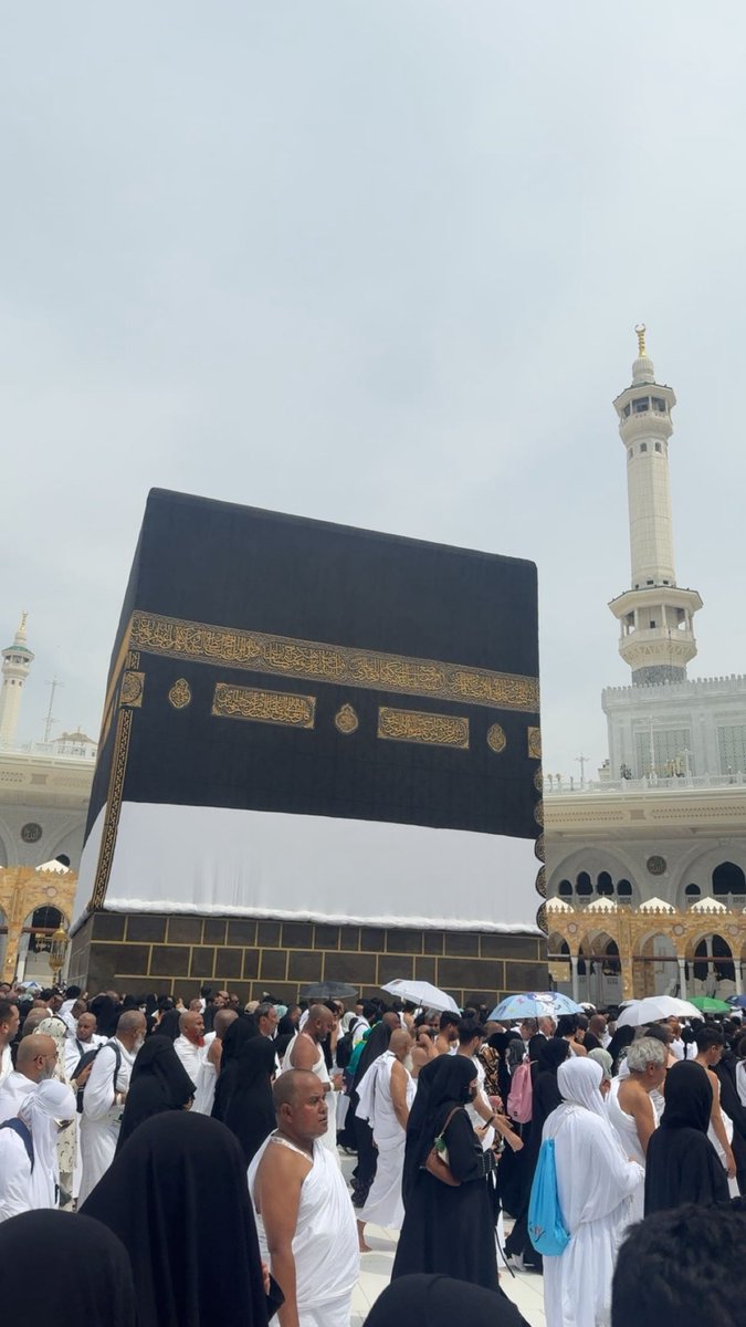 المحنك رحيم tweet media