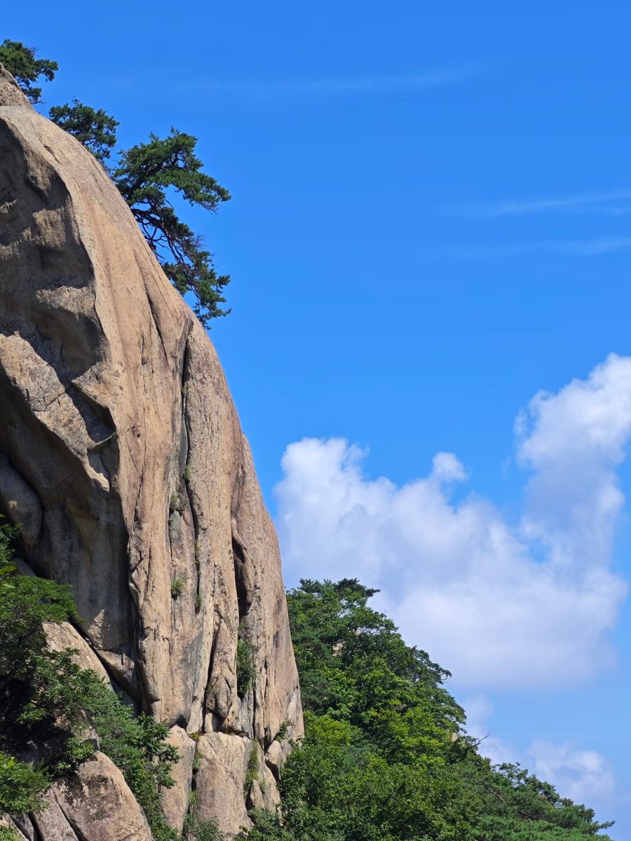 romantic4eaver's tweet image. "When the mountain seems too steep, remember: every step is a crack in the 'impossible.' You’ve already climbed farther than you think—keep going.  #BreakthroughChallenge #KeepClimbing"