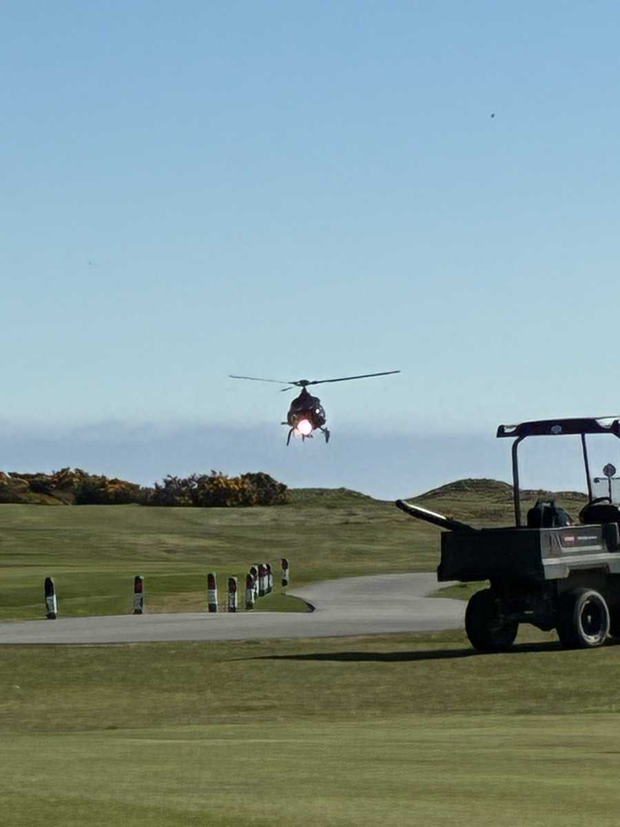 Neale and Fergus the Westie!! tweet media