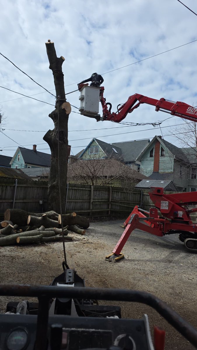 kdtrees_buffalo's tweet photo. Precision where it matters most. 🌳⚙️
Tight spaces, overhead wires, zero margin for error, we plan every cut to protect your property.
KD Tree Service delivers safe, expert tree removal you can trust.
📞 716-220-7282
#KDTreeService #TreeCare #Arborist #TreeExperts #SafeTreeWork https://t.co/SioDxevag2