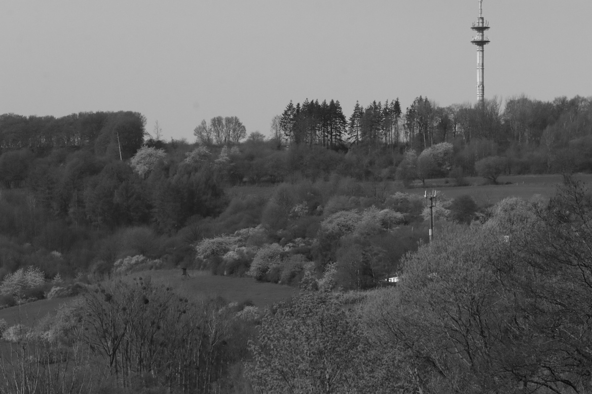 Christian Kaiser tweet media