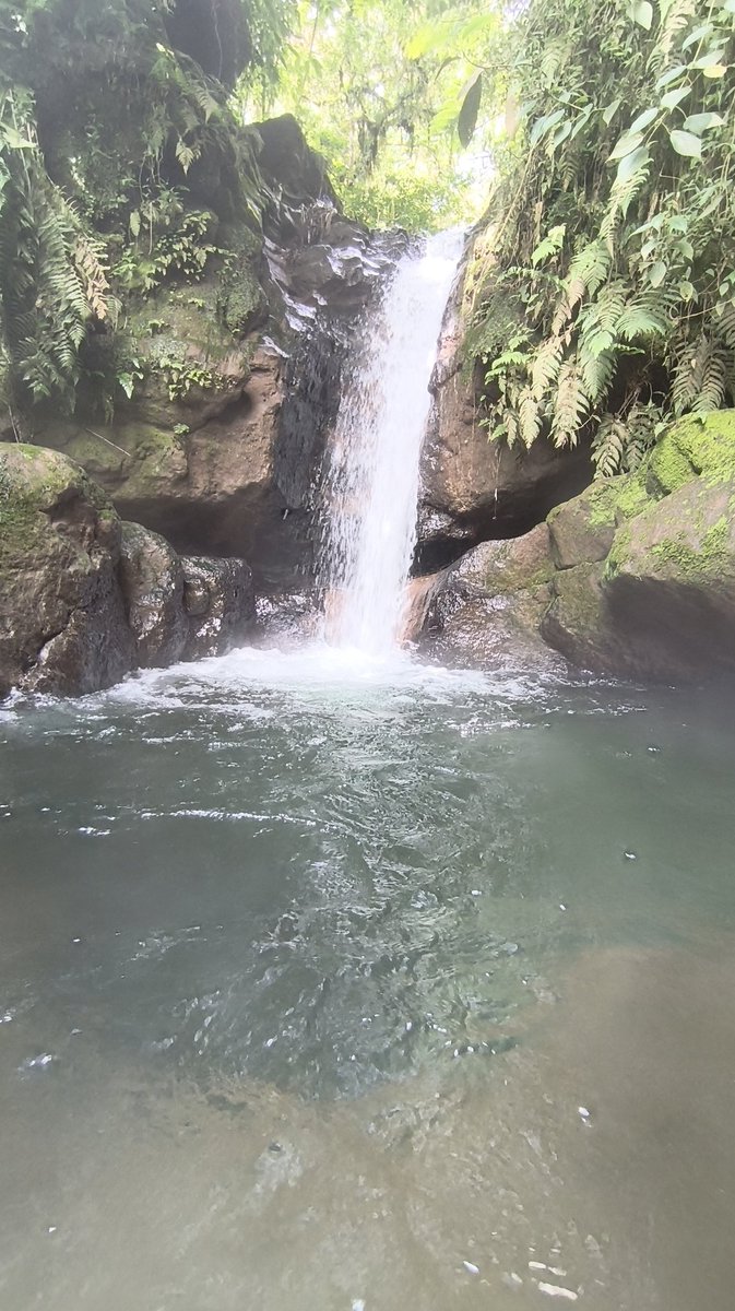 Nyenyenye 😜 tweet media