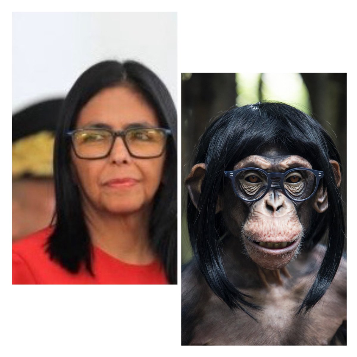 Cuál es la diferencia? 
Delsy que se vista de seda Delsy se queda! Oh perdón!  Mona que se vista de seda Mona se queda !