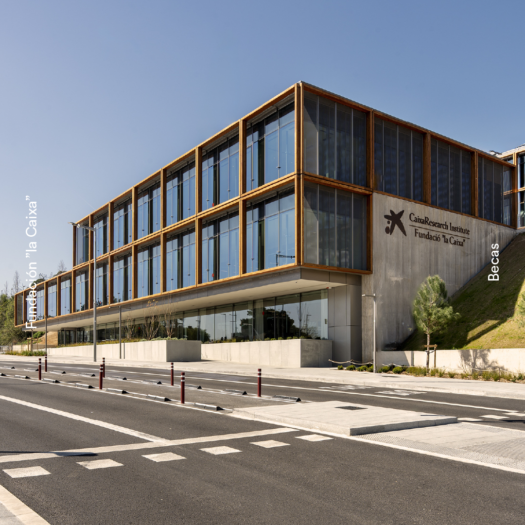 Becas Fundación "la Caixa" tweet media