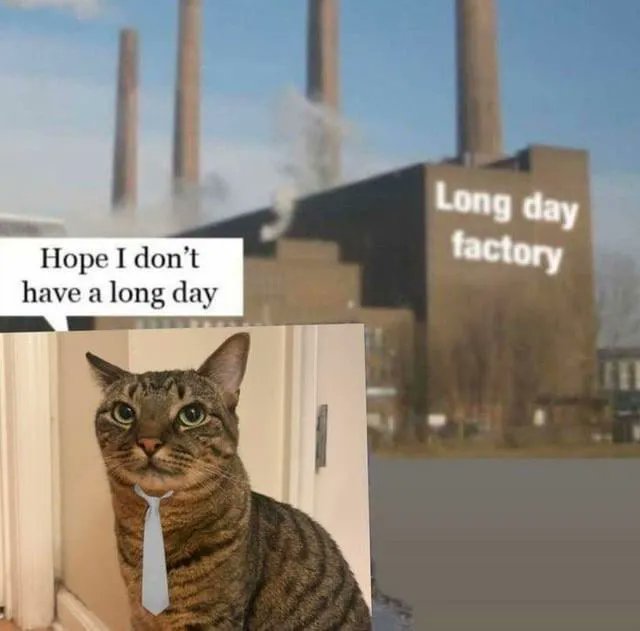 𝑮𝑶𝑫𝑫𝑬𝑺𝑺 𝑶𝑭 𝑮𝑶𝑳𝑫 tweet media