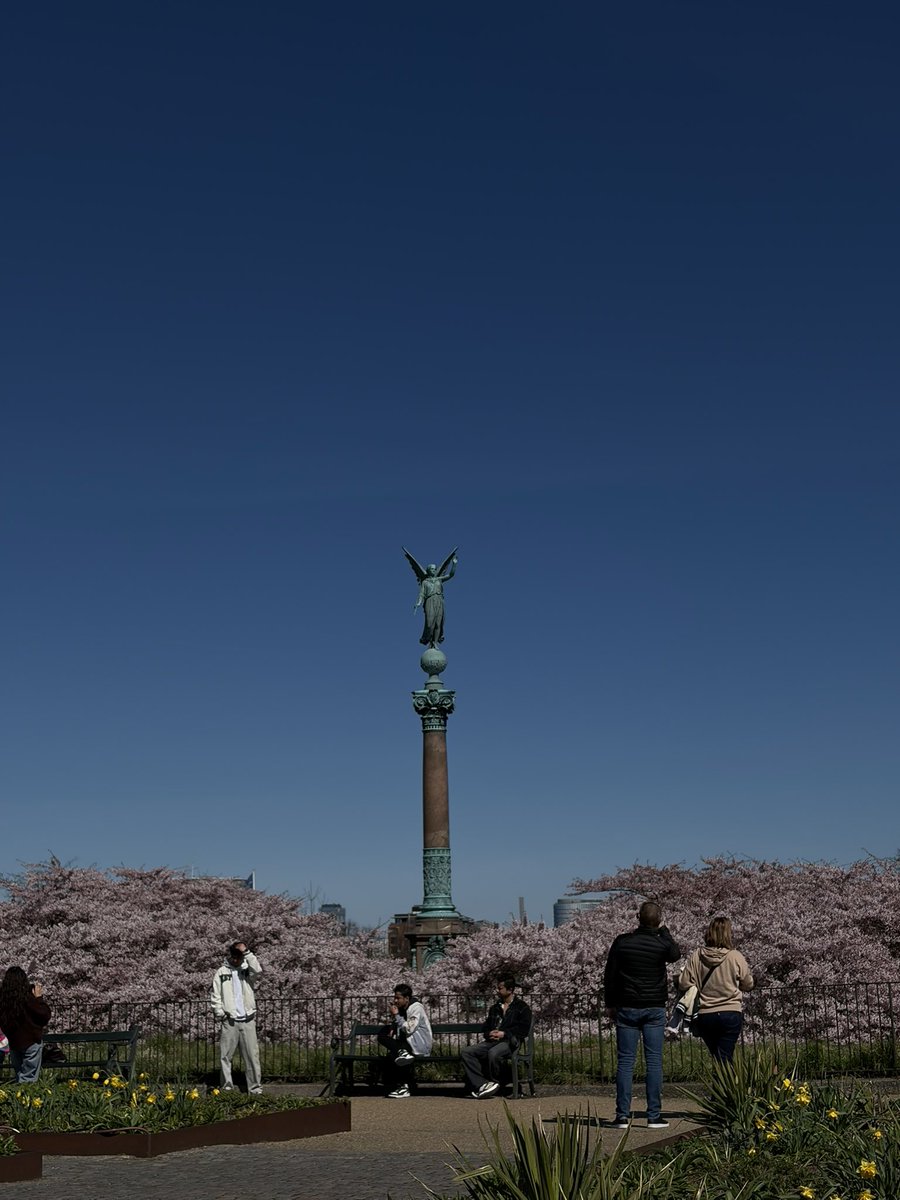 Lika 旅するデザイナー tweet media