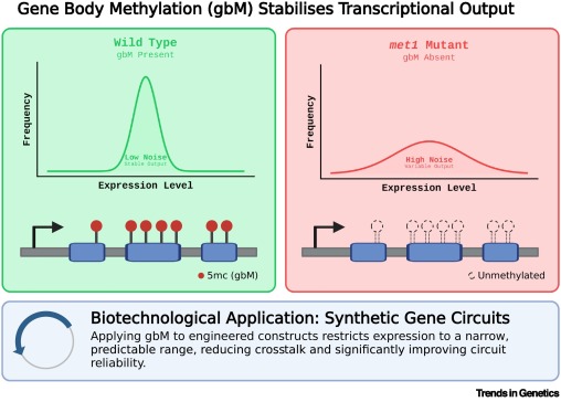 Trends in Genetics tweet media