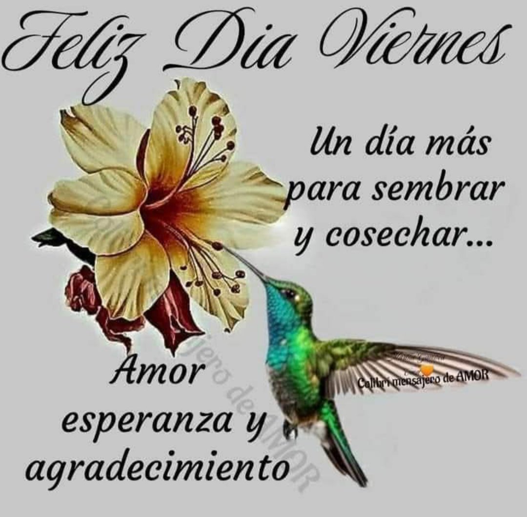 Excelente fin de semana para todos🌞♥️🫂🌷👍🌹🙏