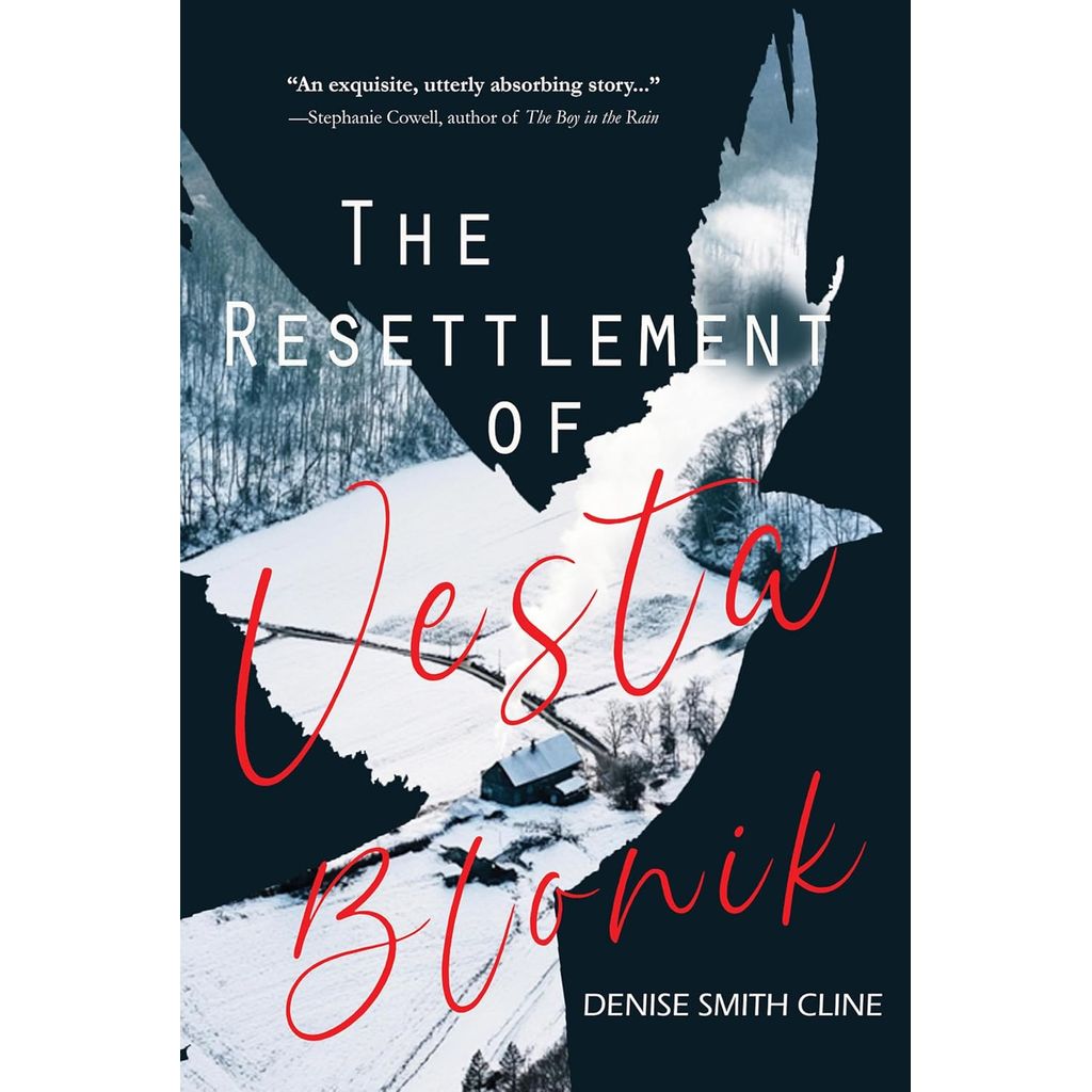 LiteraryTitan's tweet image. During the Great Depression, a Minnesota farm woman left behind by her family agrees to a marriage built on deception. #HistoricalFiction #novel The Resettlement of Vesta Blonik is a quiet, powerful story of survival, dignity, and the slow arrival of hope.
amzn.to/4cwENJH?utm_ca…
