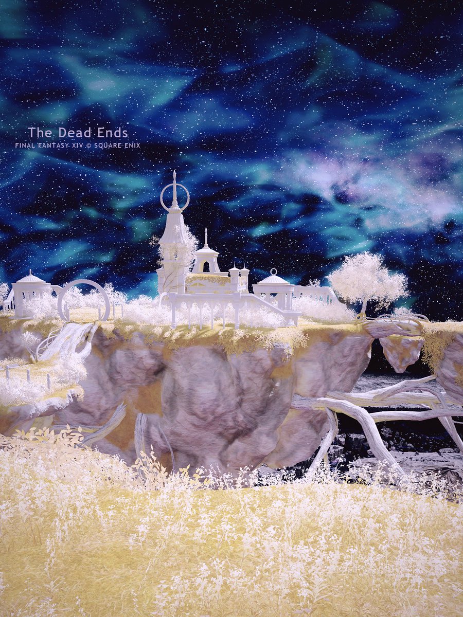 𝗖𝗘𝗟✦ tweet media