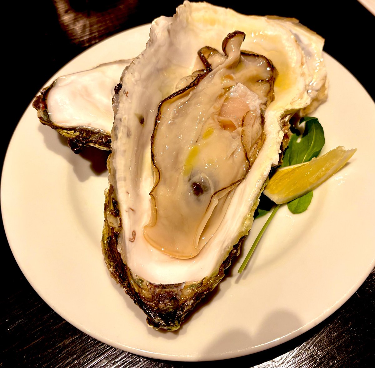 パルパル。 tweet media