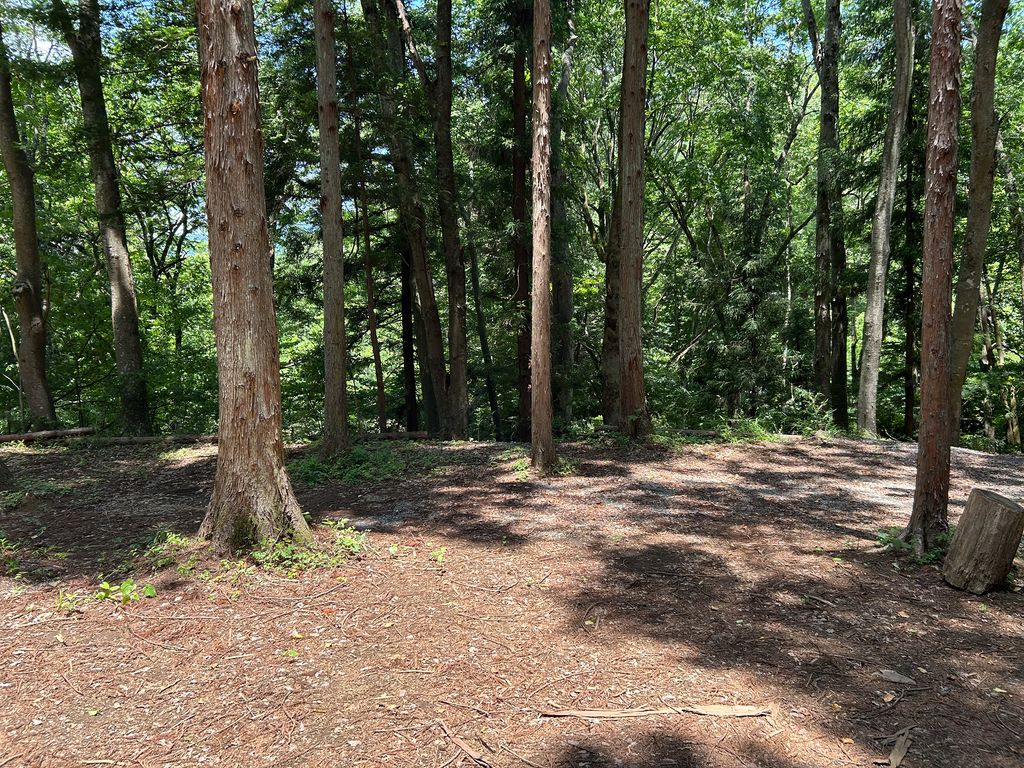 おおつきCosplay tweet media