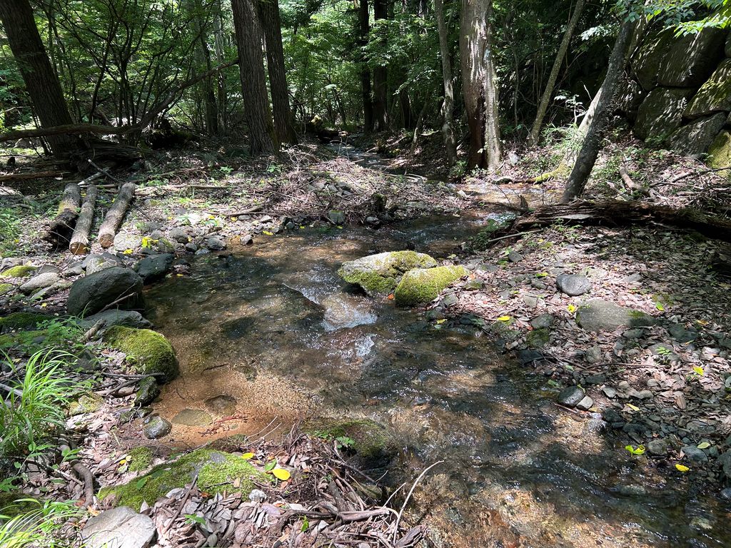 おおつきCosplay tweet media