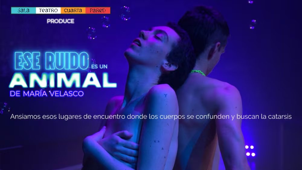 EL PAÍS+ tweet media