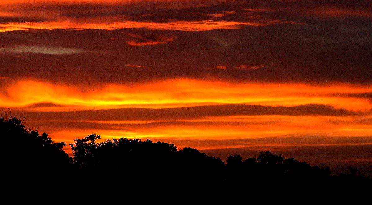 Vivir dentro de un ocaso.
#photography