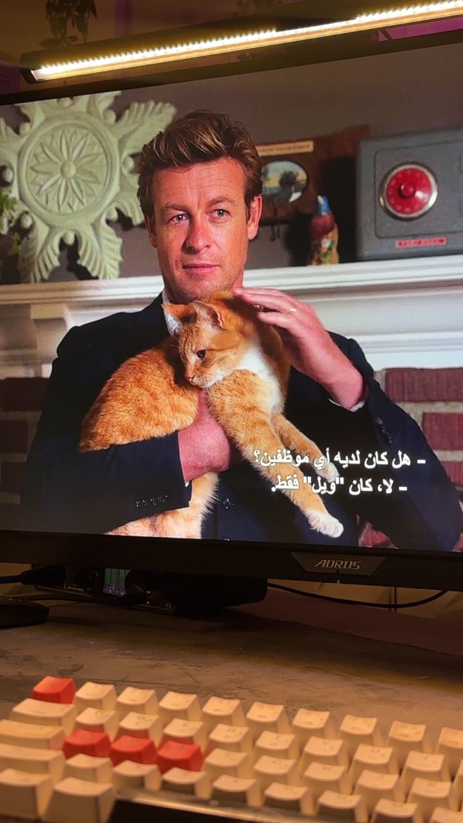 🐈.