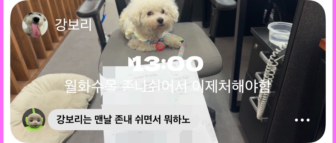 강보ㄹ| tweet media