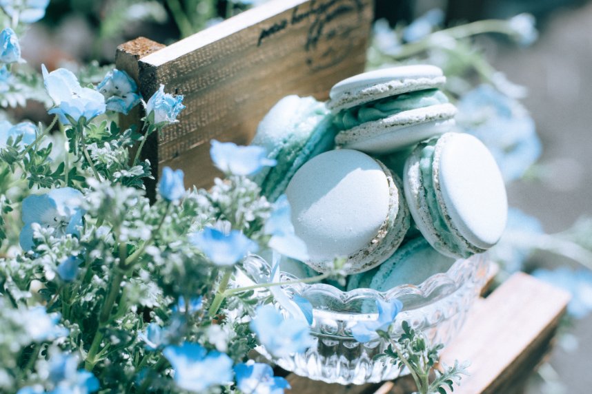 Chez Mitsu‎💫 tweet media