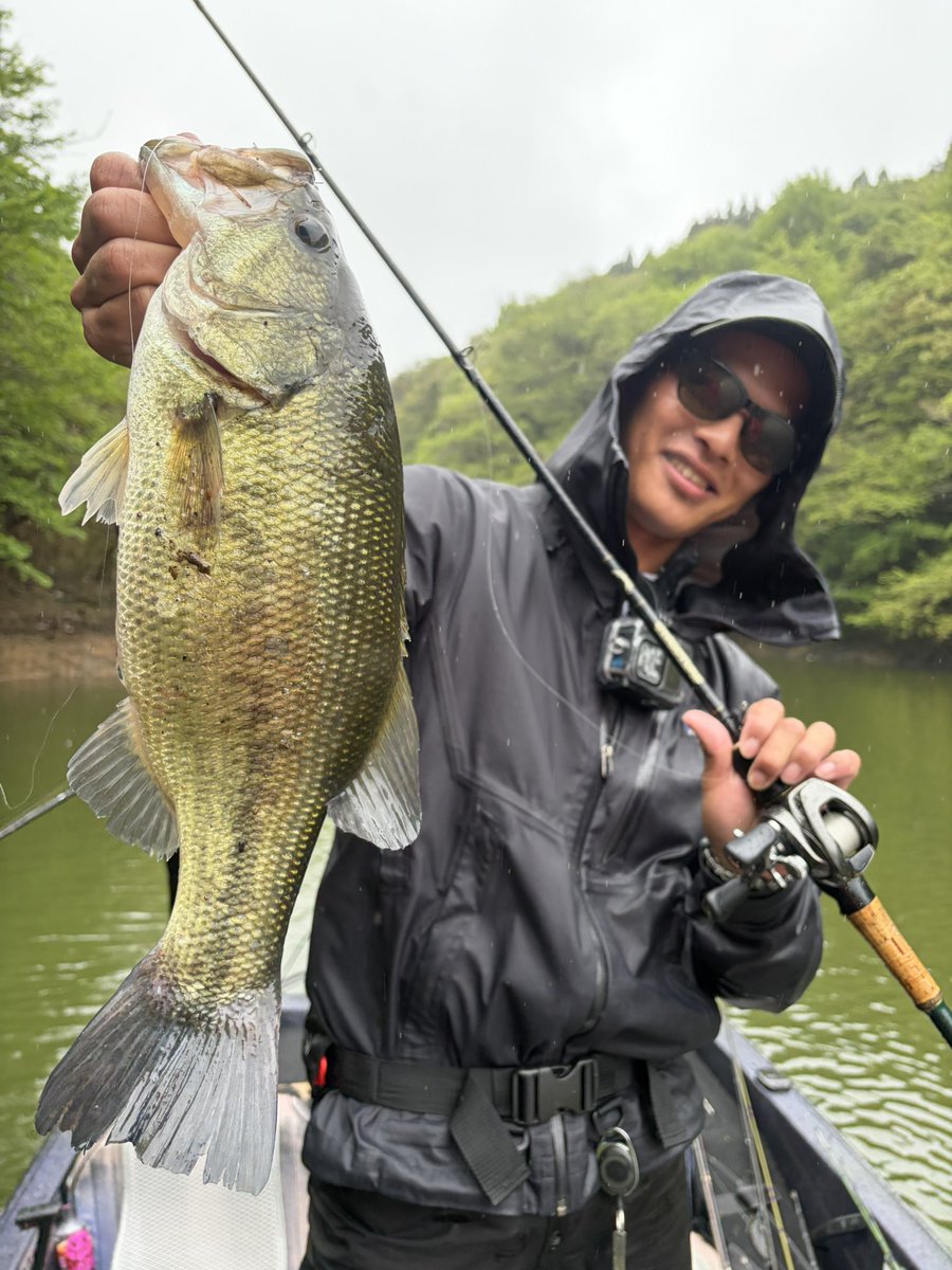 subass3019's tweet photo. 芹川ダム行ってきました！
朝から芹川らしい釣りでやってたけど雨の影響でなかなか口使わず！
フットボールジグで良型連発しました！
最高に楽しい釣行でした！！
 #ノリーズ  #ノリーズロードランナー  #芹川ダムバス釣り https://t.co/UjqQ26z5kp