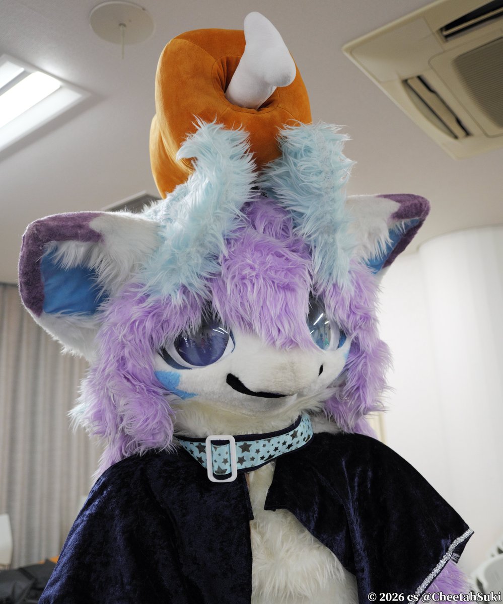 CheetahSuki's tweet photo. 🍖
🔮
#夢もふ8 #FursuitFriday #BluePaws https://t.co/A0KYEBmZng