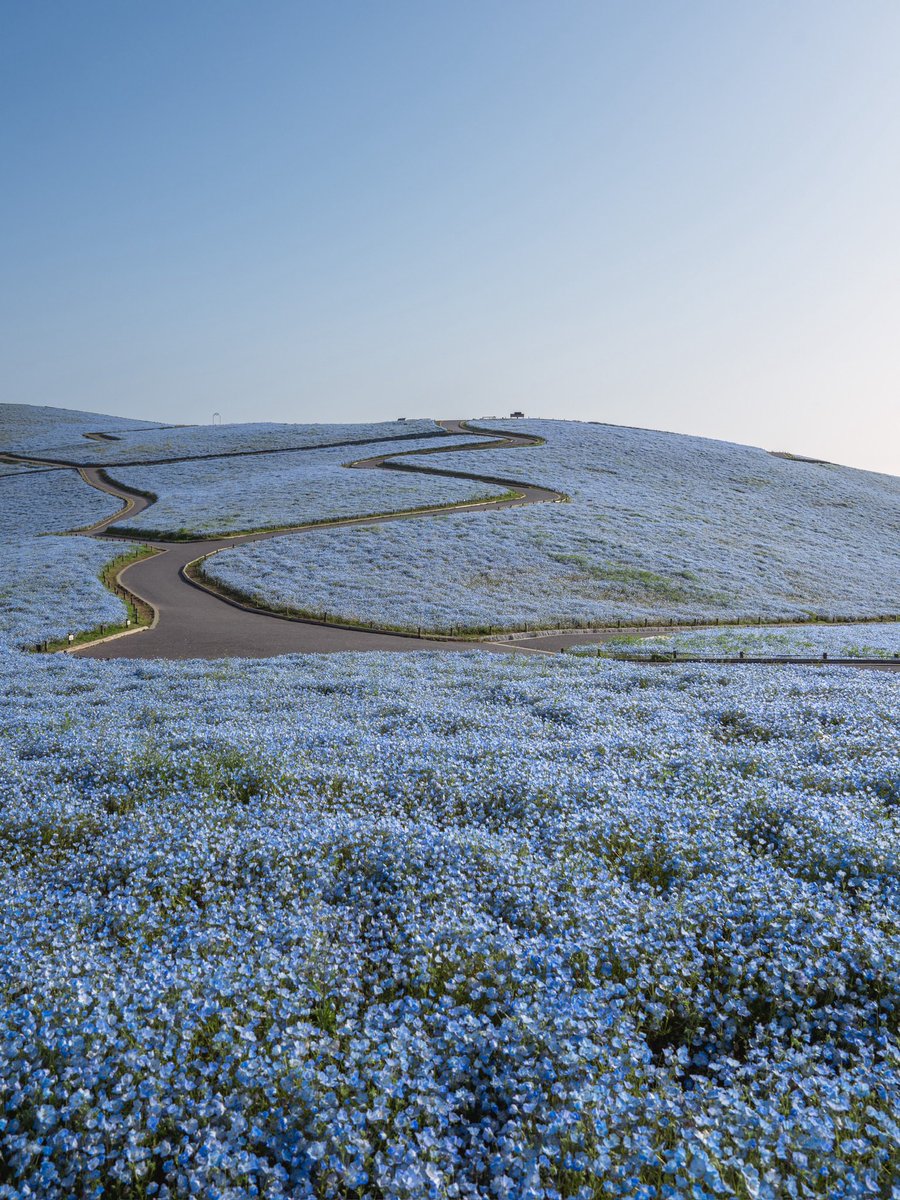 たけ / Photographer tweet media