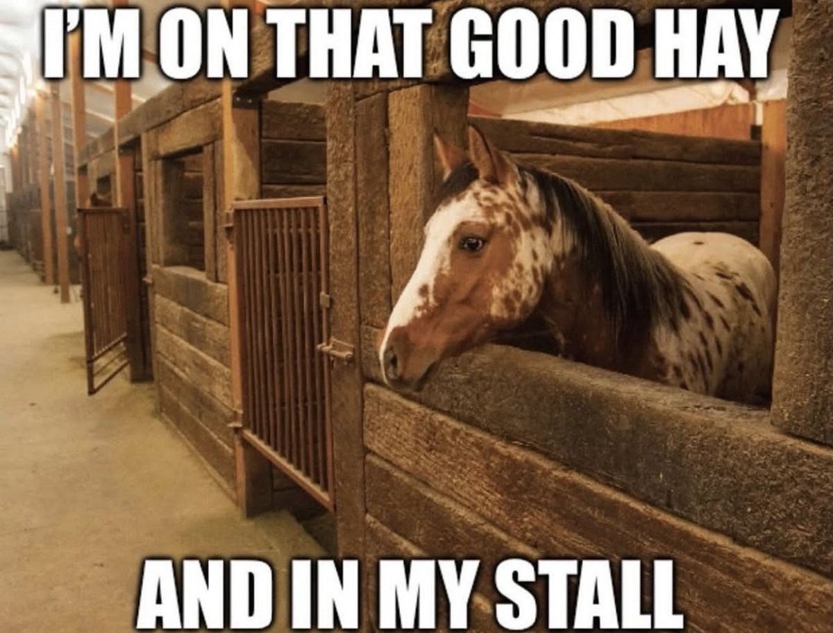 ppigg (@s4m31p4n) on Twitter photo 