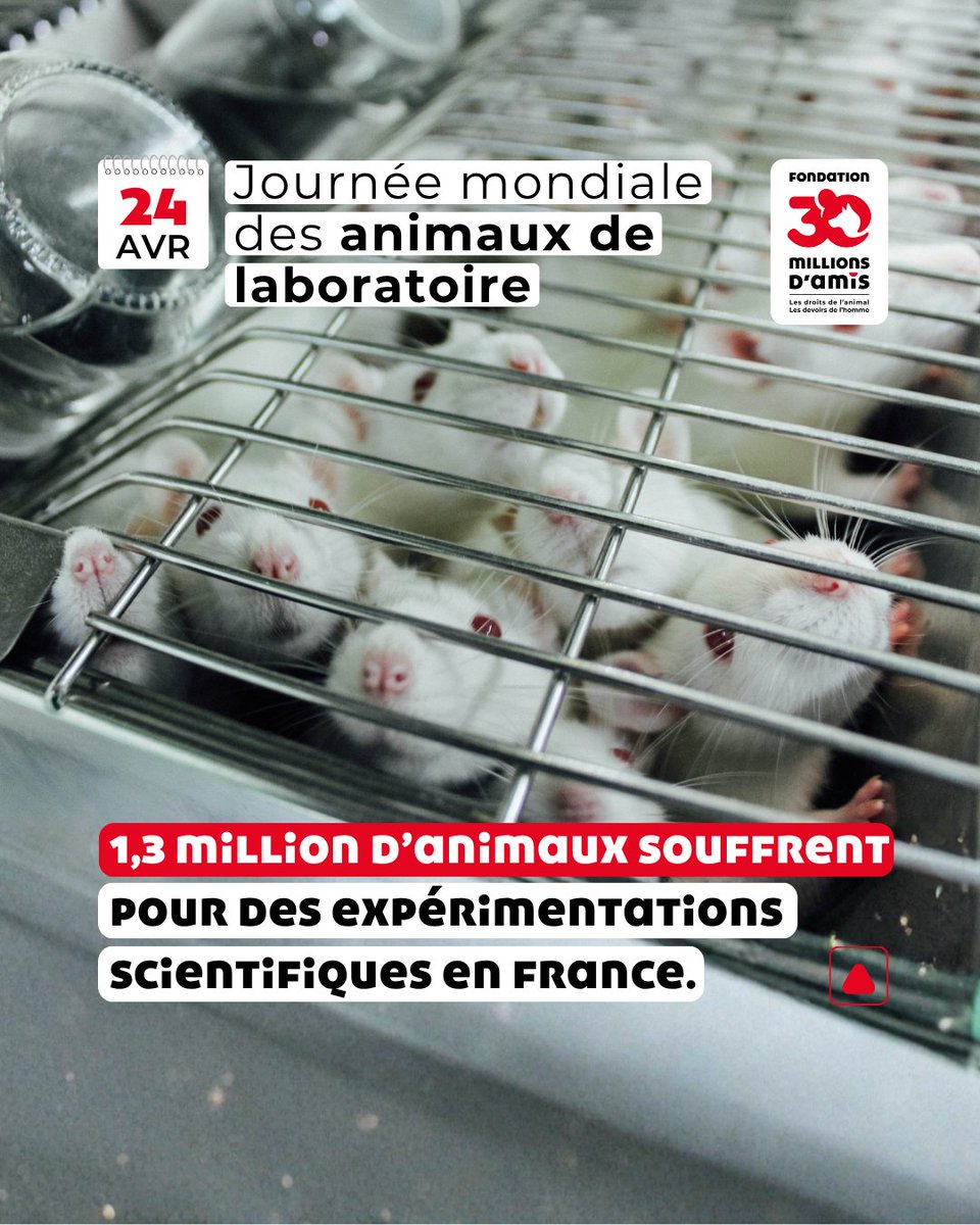 Fondation 30 Millions d'Amis tweet media