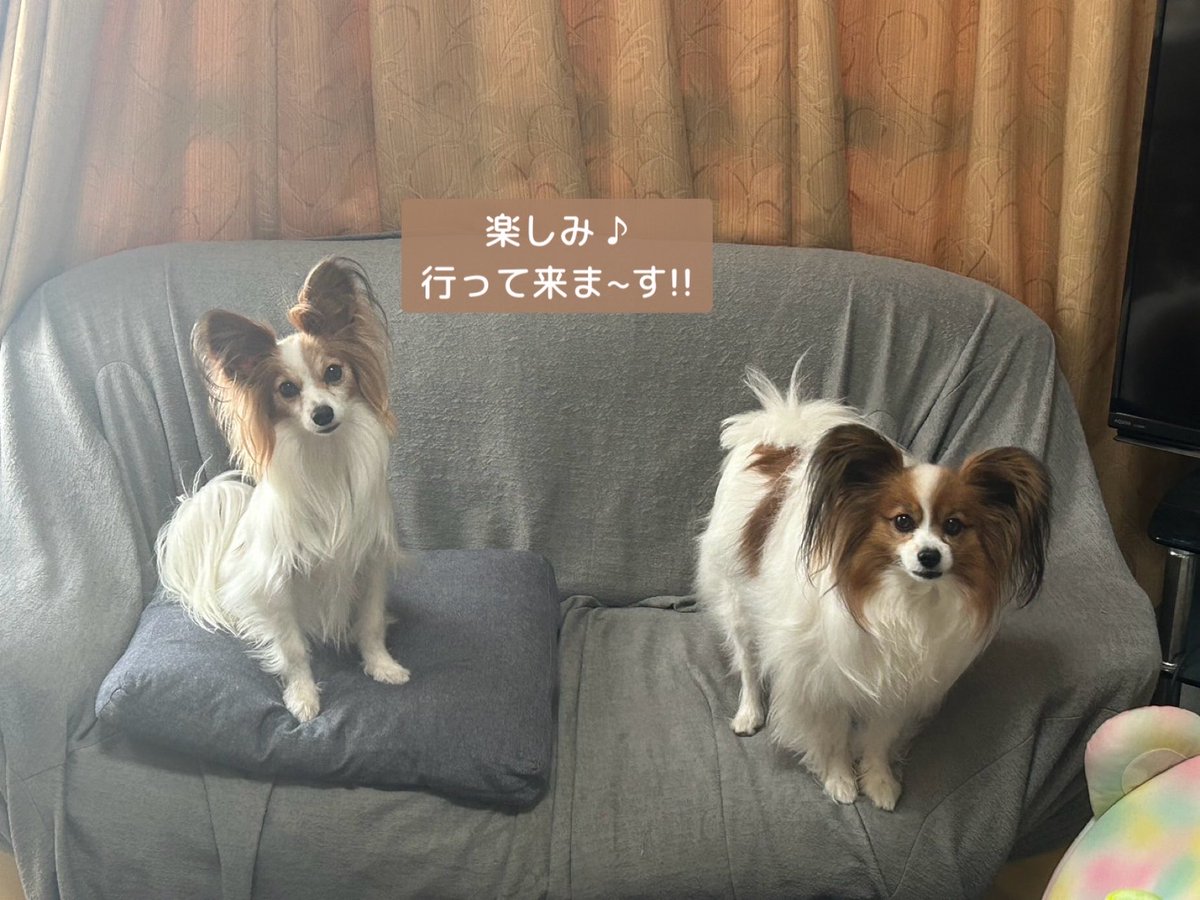 ♡yuko♡ tweet media