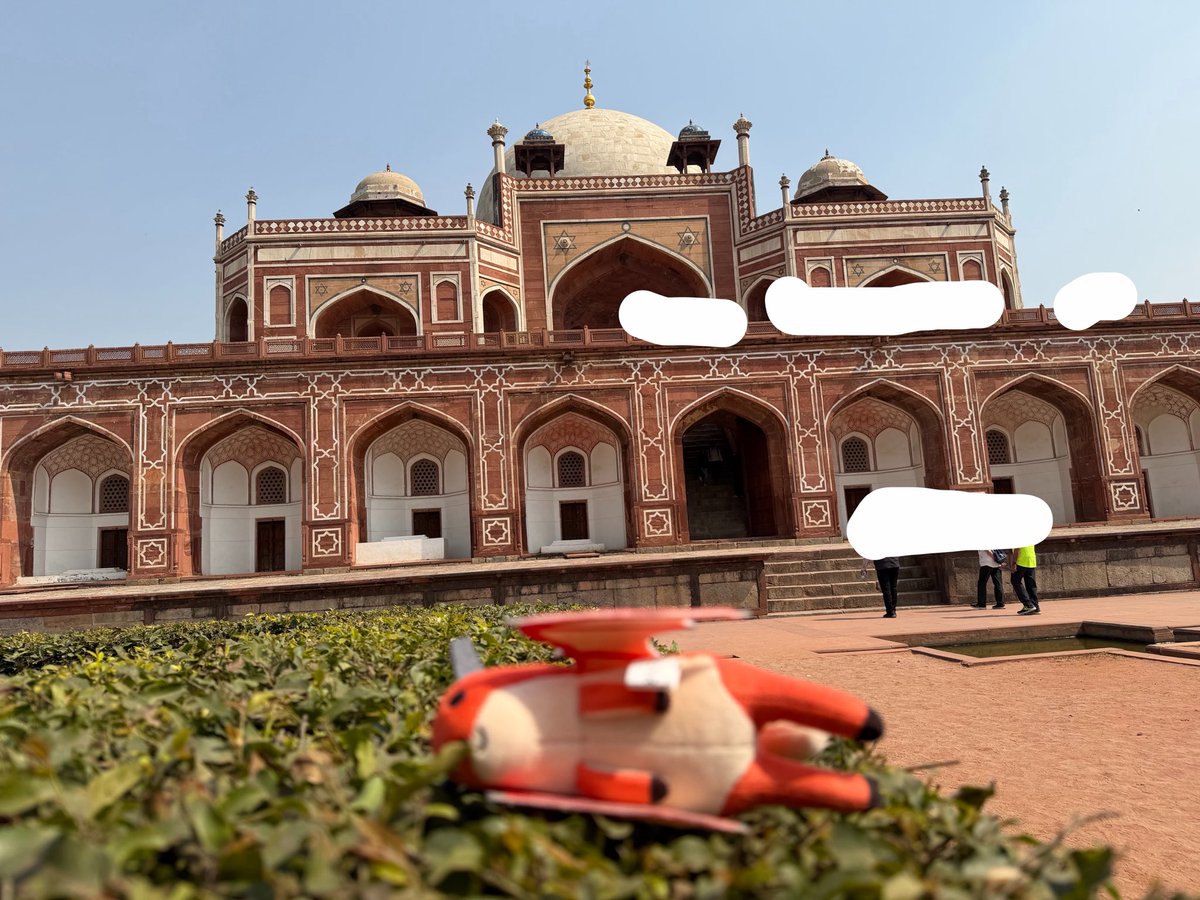 ひみこin𝕏 tweet media